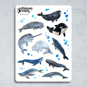 whimsy dream whales